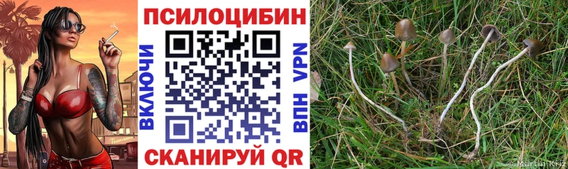 Псилоцибиновые грибы Psilocybine cubensis  блэк спрут сайт  Полтавская  хочу наркоту 